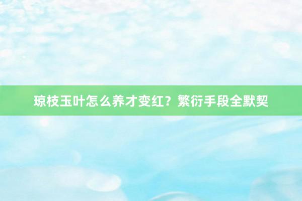 琼枝玉叶怎么养才变红？繁衍手段全默契